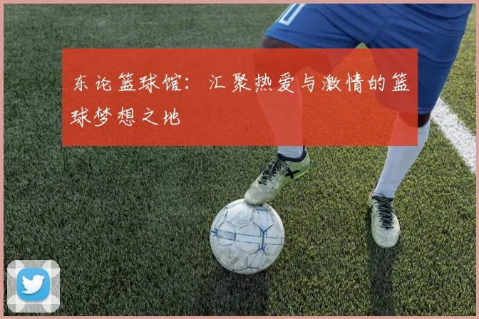 东论篮球馆：汇聚热爱与激情的篮球梦想之地