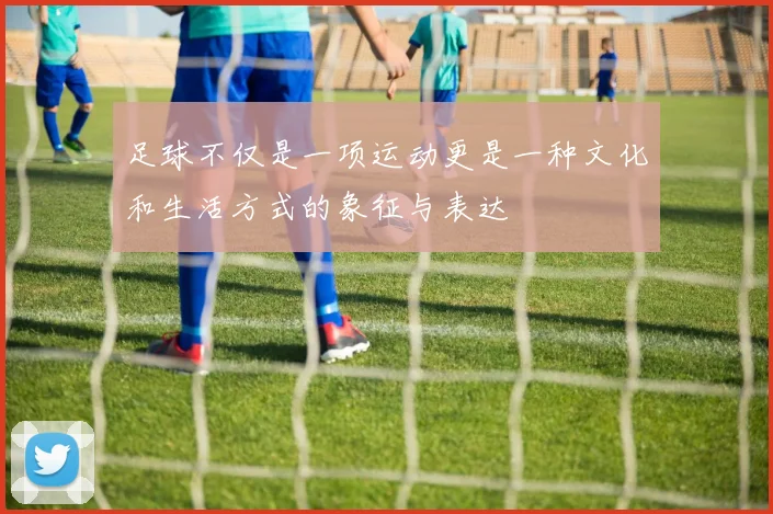 足球不仅是一项运动更是一种文化和生活方式的象征与表达
