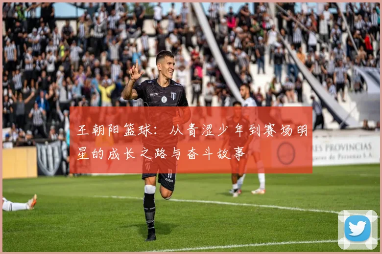 王朝阳篮球：从青涩少年到赛场明星的成长之路与奋斗故事