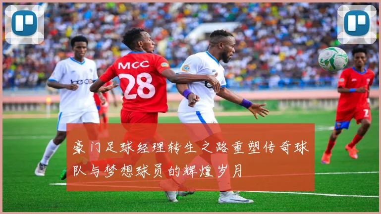 豪门足球经理转生之路重塑传奇球队与梦想球员的辉煌岁月