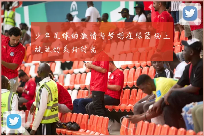 少年足球的激情与梦想在绿茵场上绽放的美好时光