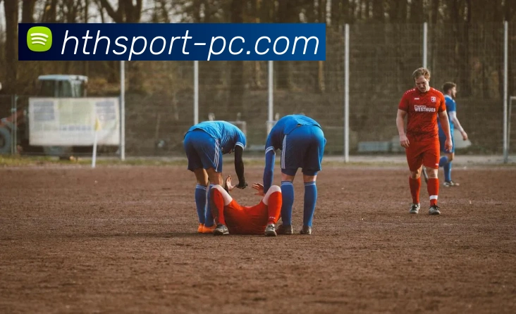 华体会官方下载服务体系